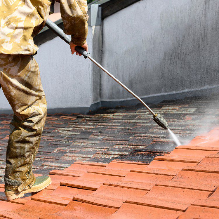 Roof Cleaning Roof Cleaning